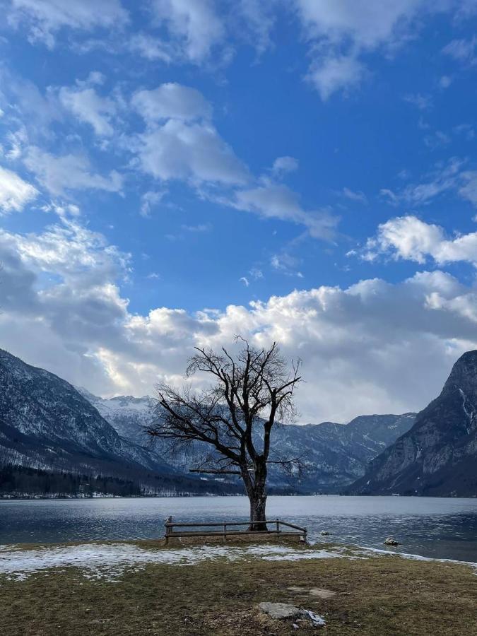 Remarkable Home Bohinj Lake Kültér fotó